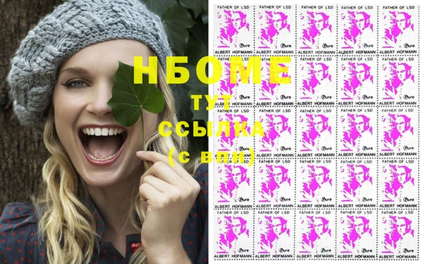 винт Надым