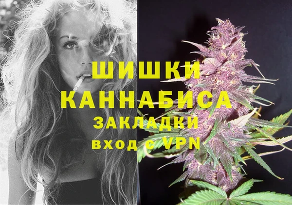 винт Надым