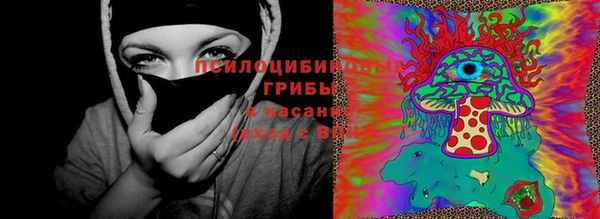 винт Надым