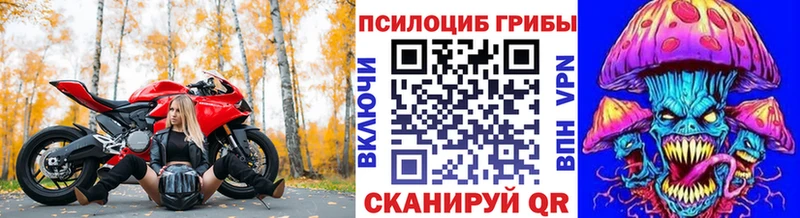 Псилоцибиновые грибы GOLDEN TEACHER  Сорск 